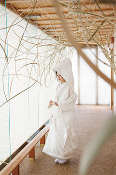 竹の道